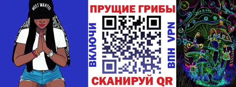 MEGA зеркало  Сычёвка  Псилоцибиновые грибы Psilocybe  цена  
